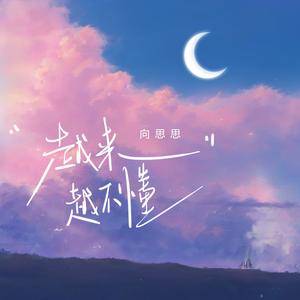 越来越不懂 (DJ版)
